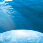 Οι «Υδροωκεάνιοι» πλανήτες ίσως διαθέτουν εξωγήινη ζωή