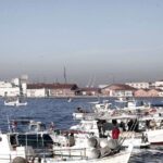 Μείωση αλιευμάτων και μηχανοκίνητων αλιευτικών σκαφών το 2020