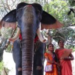 Ελέφαντας- ρομπότ χρησιμοποιείται για τελετές σε ναό